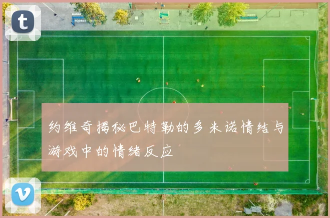 约维奇揭秘巴特勒的多米诺情结与游戏中的情绪反应